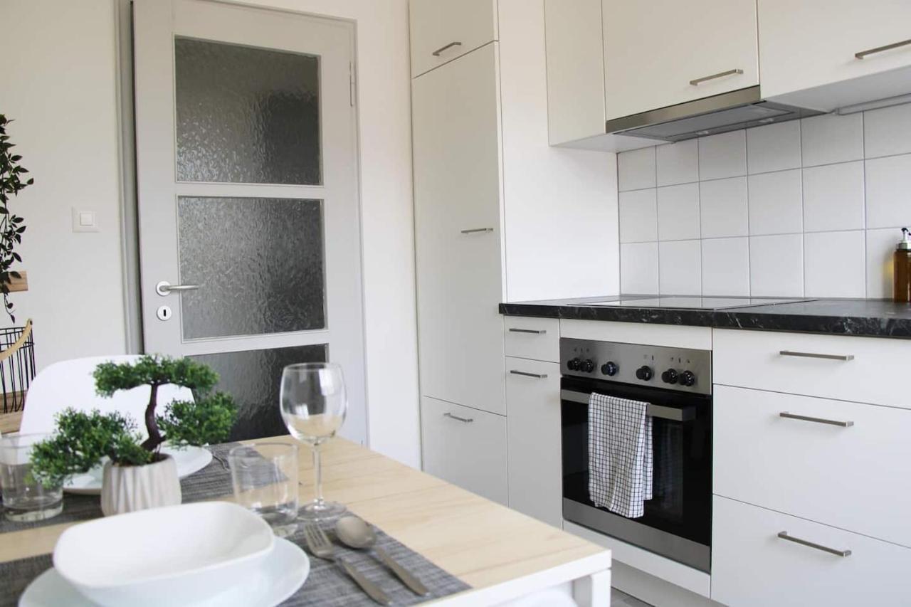 New & Modern Apartment With Beautiful Lake View! لوغانو المظهر الخارجي الصورة
